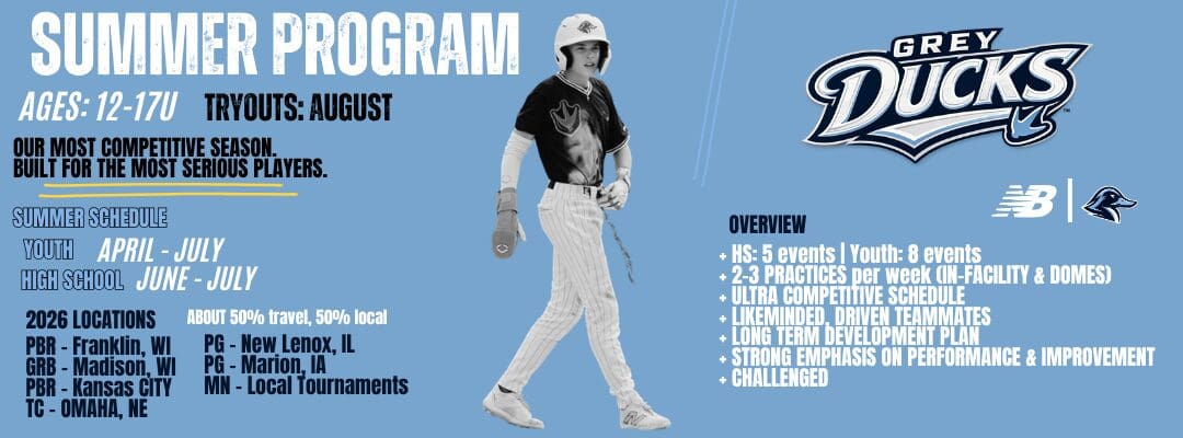 Ducks - Summer Slider